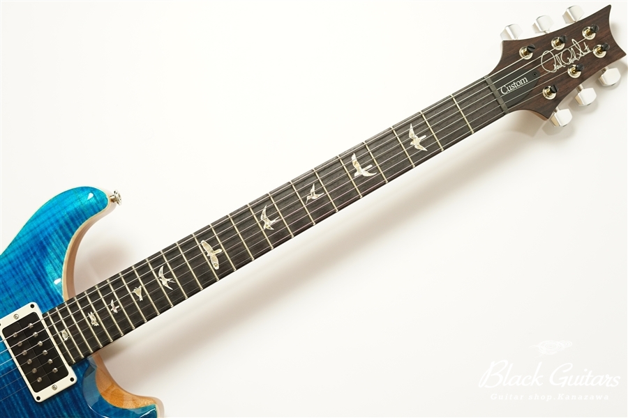 Custom 24 Pattern Thin 1-PieceBack - Blue Matteo